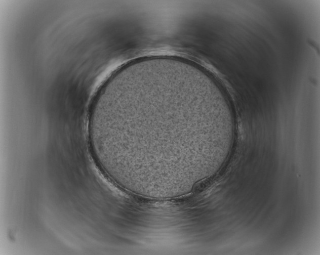 X0000100421416200806271456