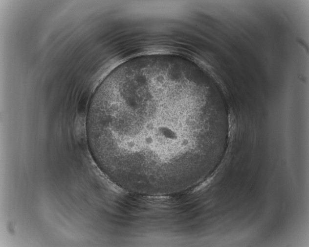 X0000100421417200806271456