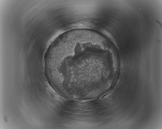 X0000100421419200806271456
