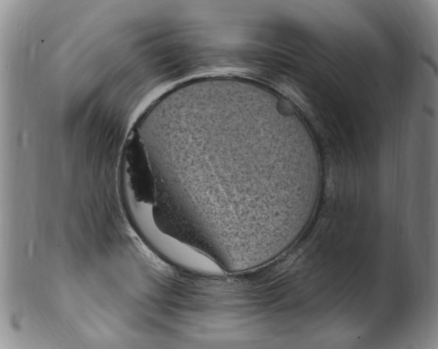X0000100421420200806271456