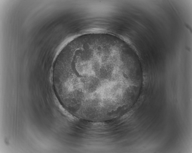 X0000100421421200806271456