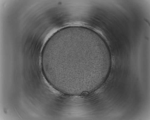X0000100421424200806271456