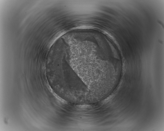 X0000100421425200806271457