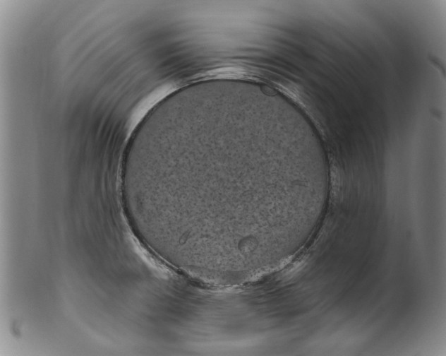 X0000100421426200806271457