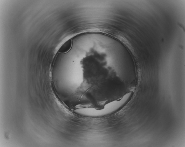 X0000100421428200806271457
