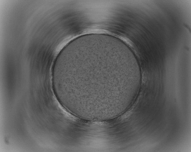 X0000100421430200806271457