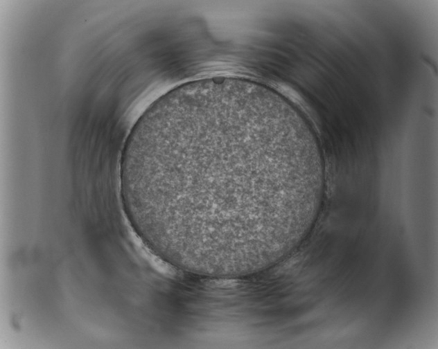 X0000100421431200806271457