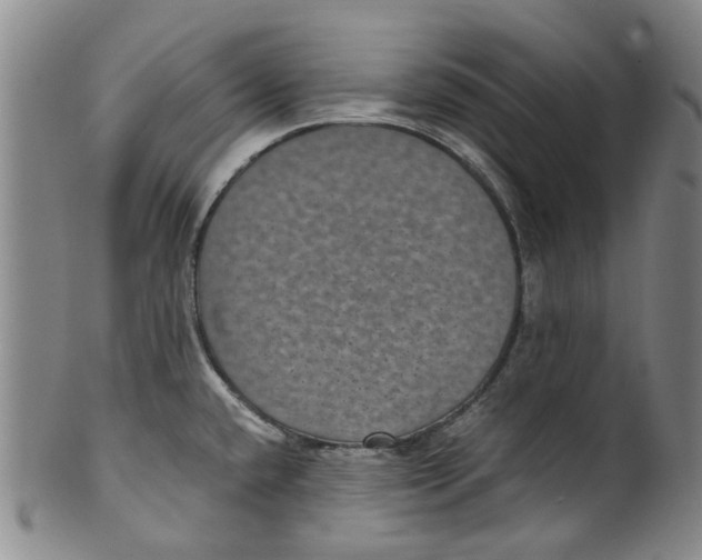 X0000100421432200806271457