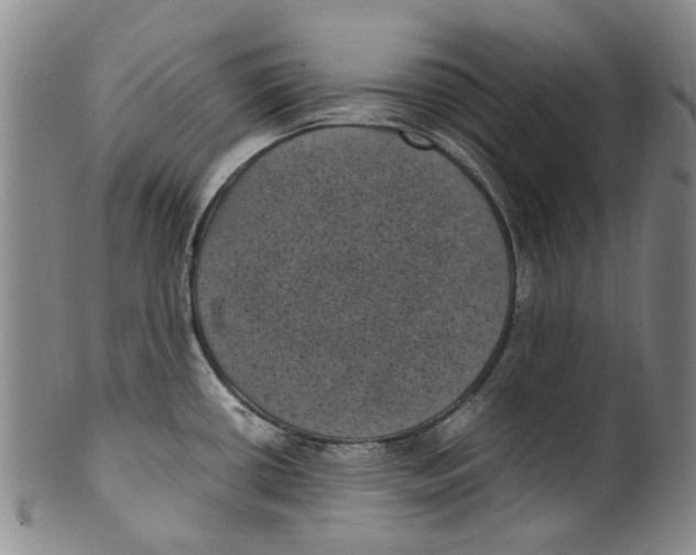 X0000100421434200806271457