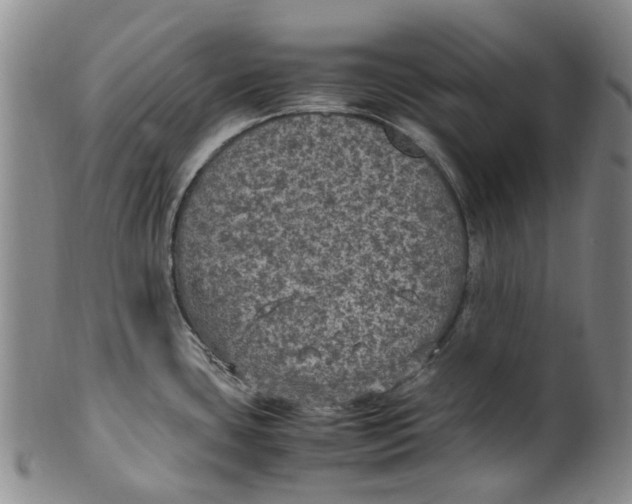 X0000100421435200806271457