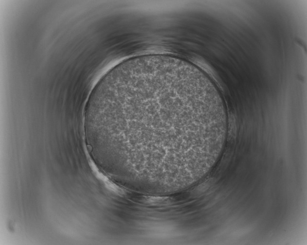 X0000100421439200806271457