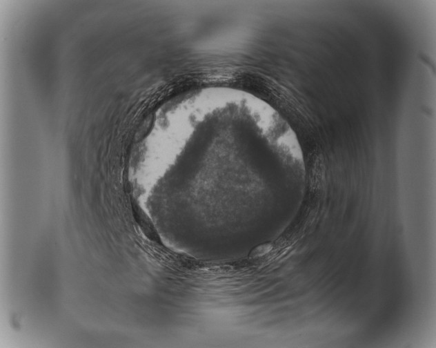 X0000100421441200806271456