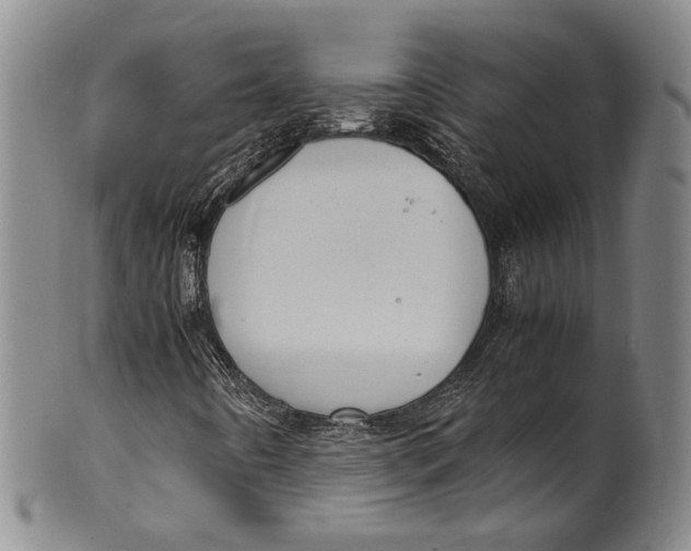 X0000100421442200806271456