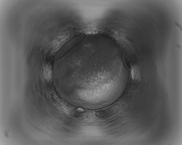 X0000100421444200806271456