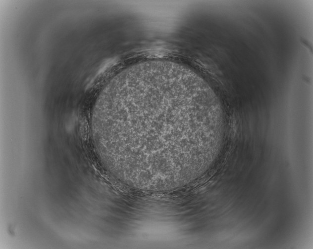 X0000100421446200806271456