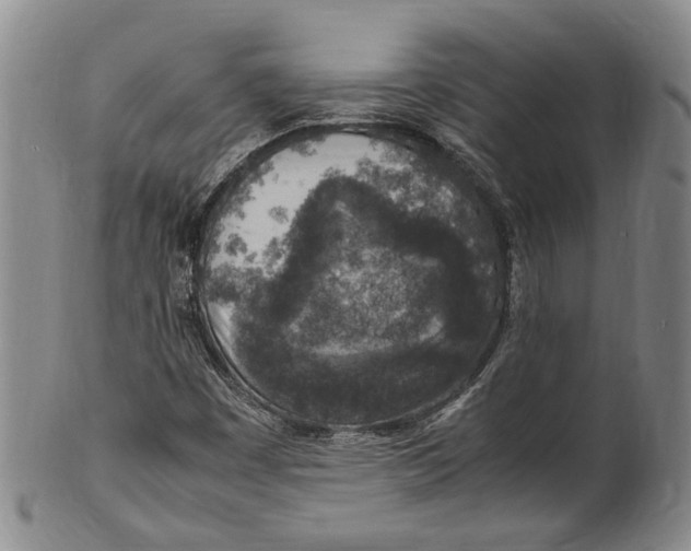 X0000100421449200806271456