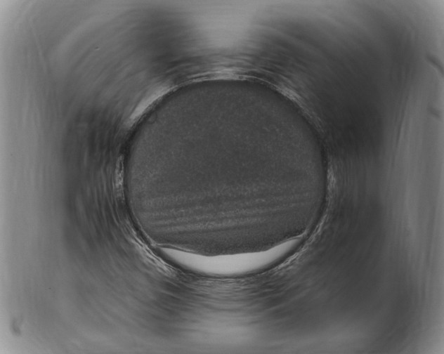 X0000100421450200806271456