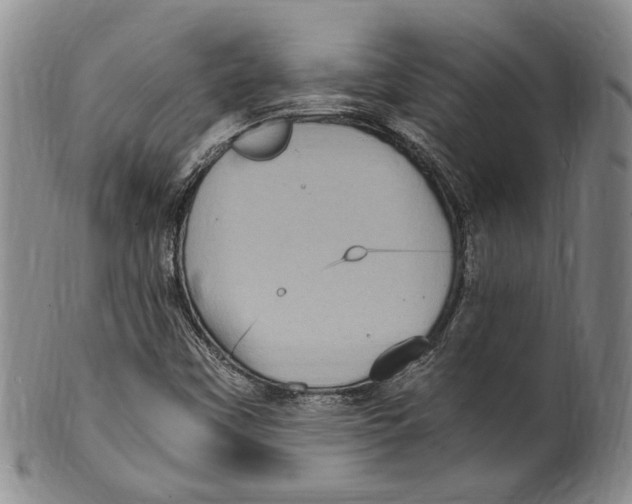 X0000100421451200806271456
