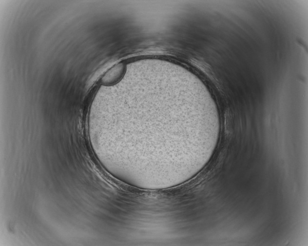 X0000100421452200806271456