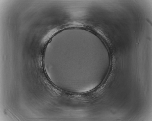 X0000100421455200806271456