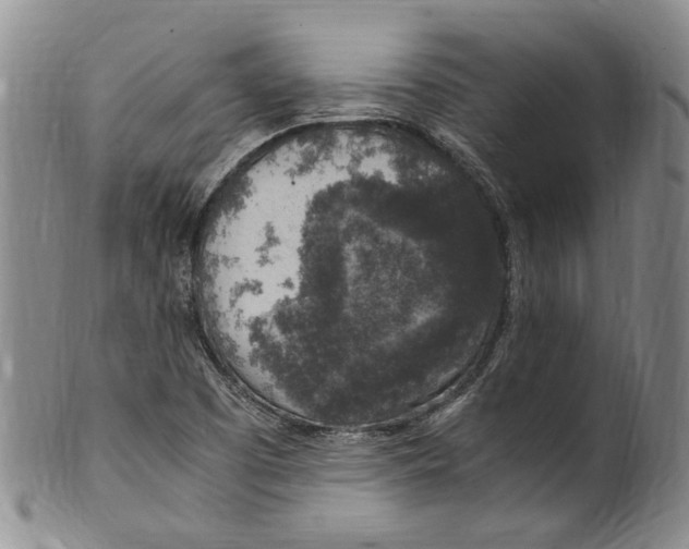 X0000100421457200806271456