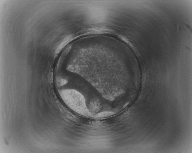 X0000100421459200806271456