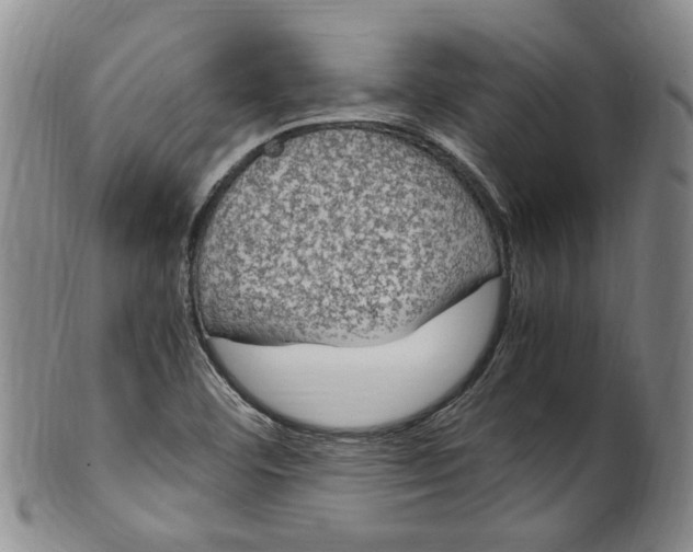 X0000100421460200806271456