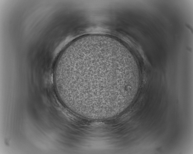 X0000100421462200806271456