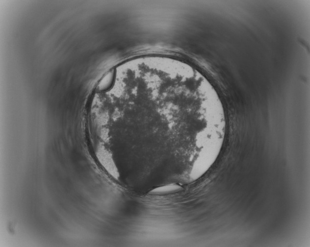 X0000100421463200806271456