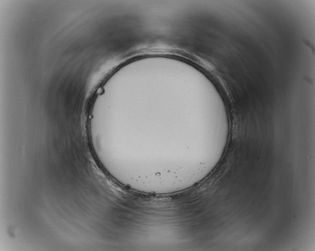 X0000100421464200806271456
