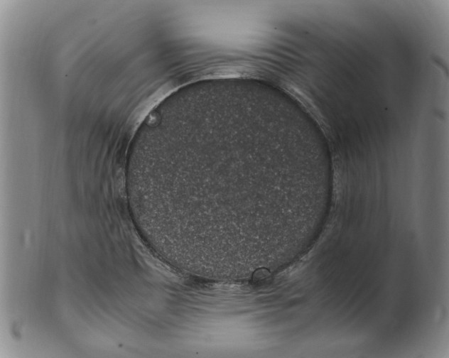 X0000100421465200806271456