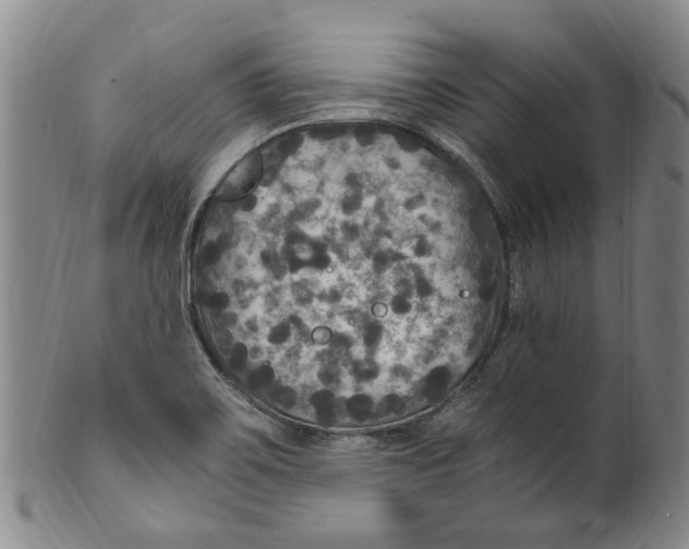 X0000100421467200806271456