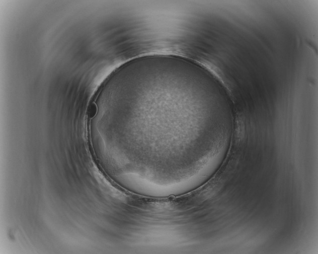 X0000100421468200806271456