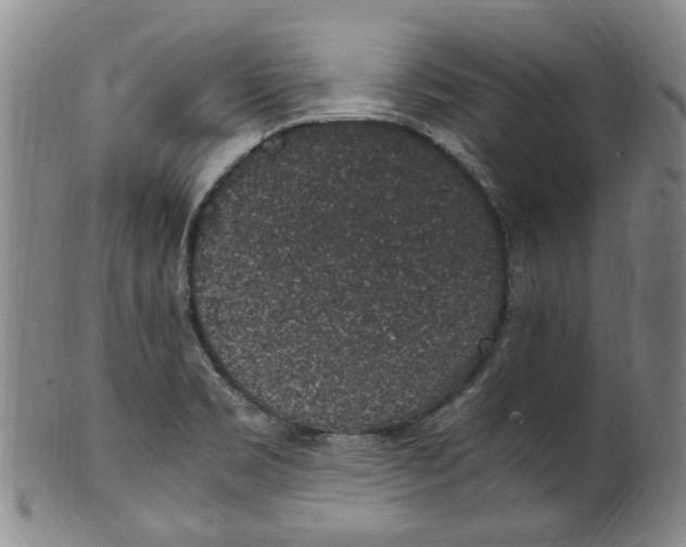 X0000100421469200806271456