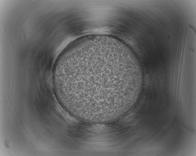 X0000100421470200806271456