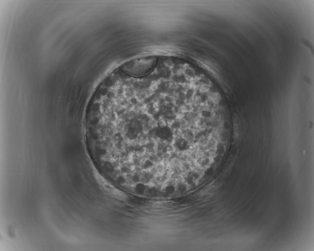 X0000100421471200806271456
