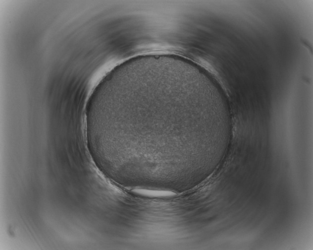 X0000100421472200806271456