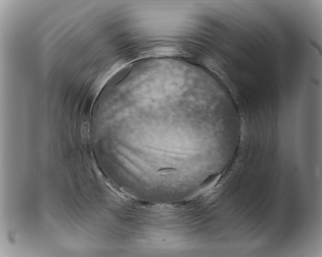 X0000100421473200806271455