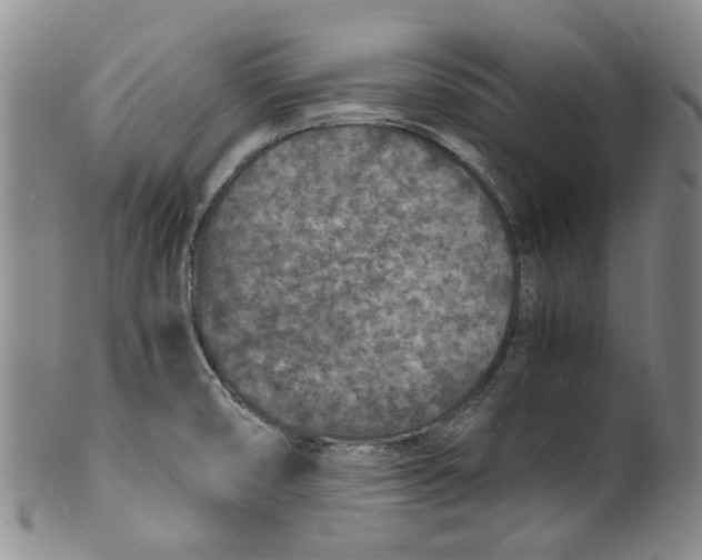 X0000100421474200806271455