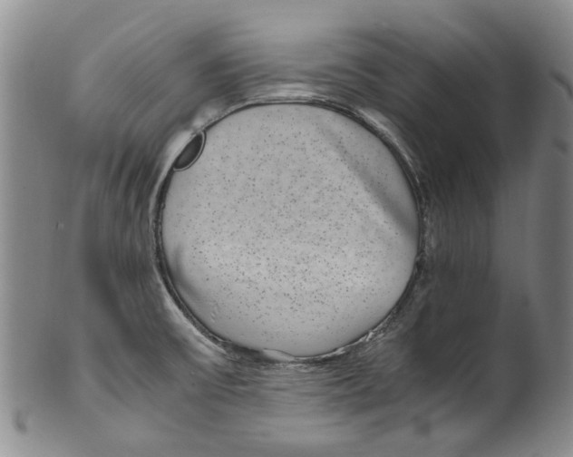 X0000100421475200806271455