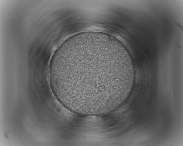 X0000100421478200806271455