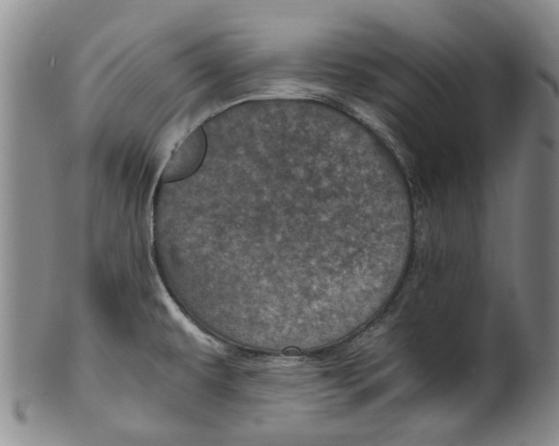 X0000100421479200806271455