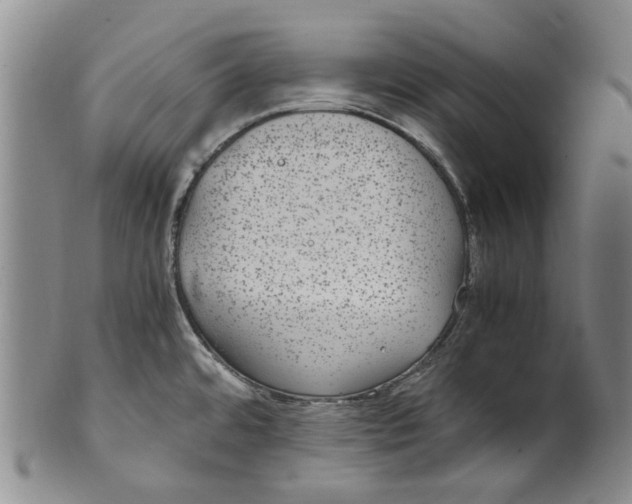 X0000100421480200806271455