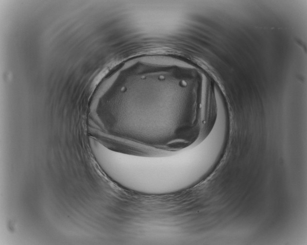 X0000100421481200806271455