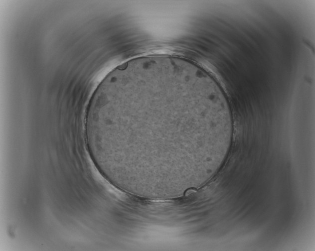 X0000100421483200806271455