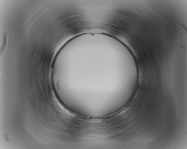 X0000100421484200806271455