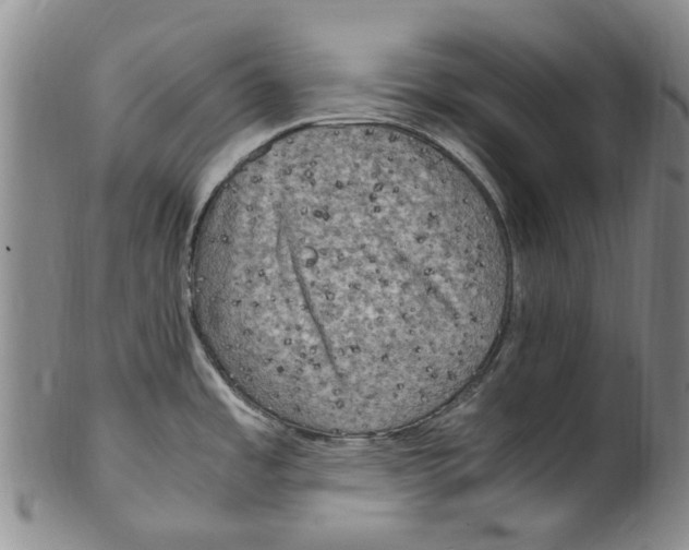 X0000100421485200806271455