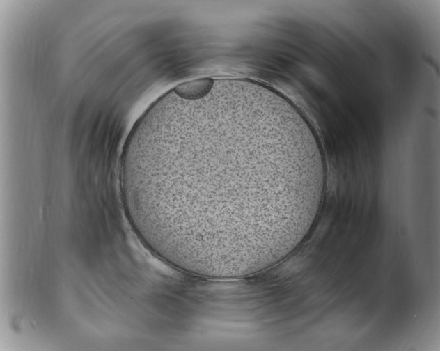 X0000100421486200806271455