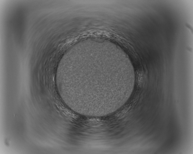 X0000100421489200806271454