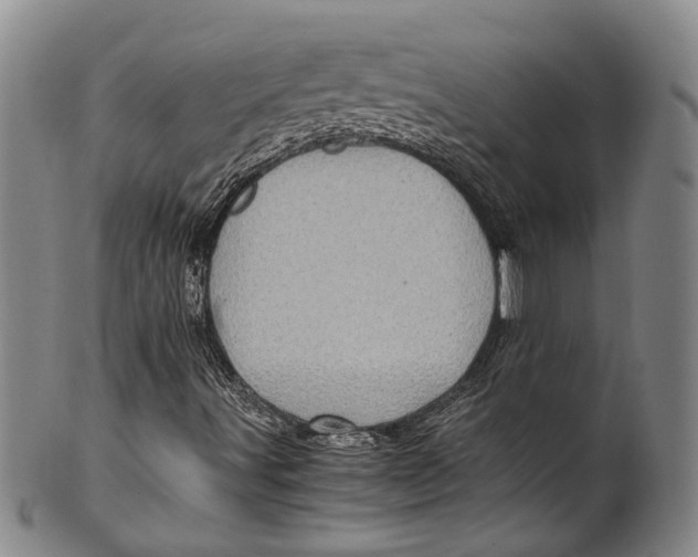 X0000100421491200806271455